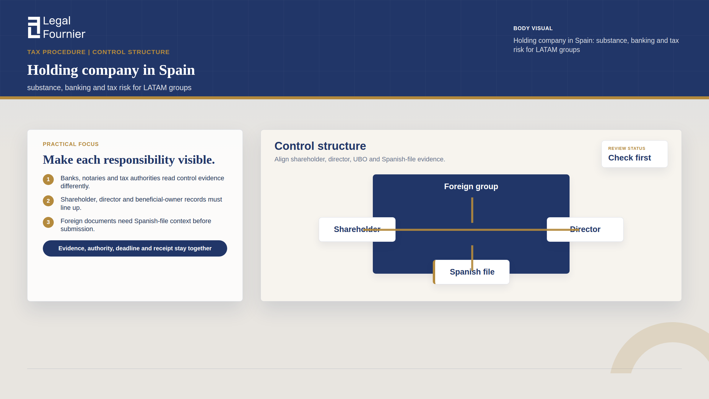 Ownership Chart visual for Holding company in Spain: substance, banking and tax risk for LATAM groups
